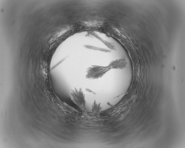 X0000085831301200704091647