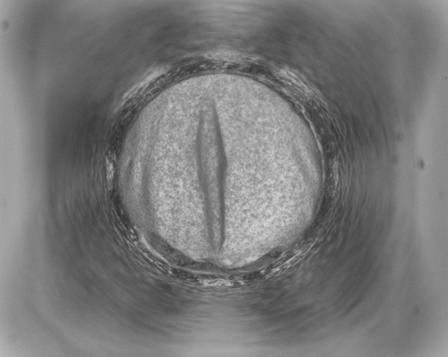 X0000085831302200704091647