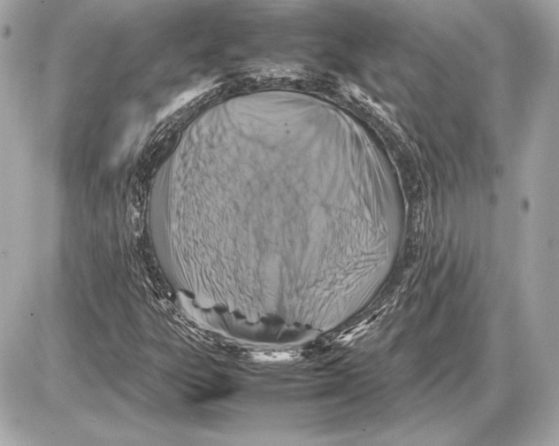 X0000085831303200704091647