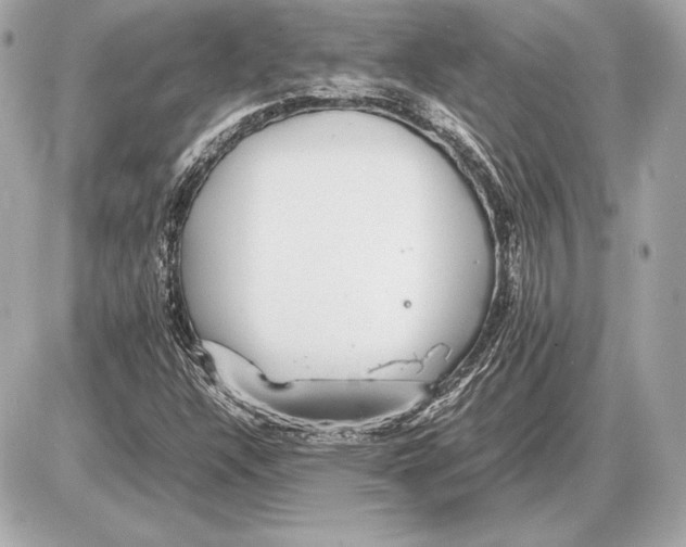 X0000085831304200704091647