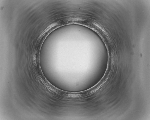 X0000085831305200704091647