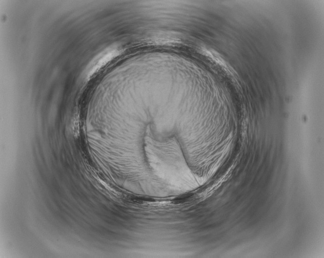 X0000085831306200704091647