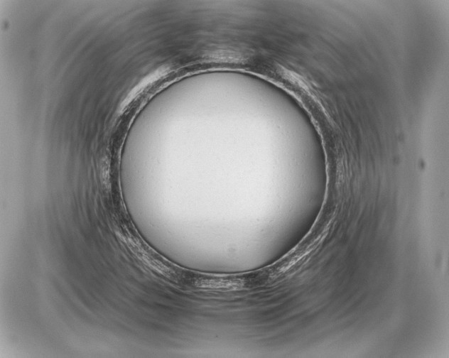 X0000085831307200704091647