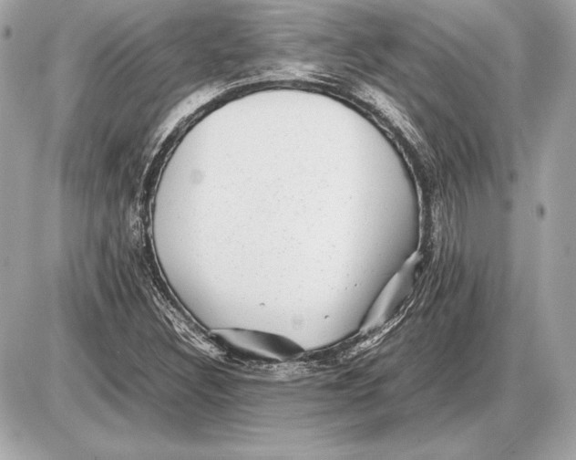 X0000085831308200704091647