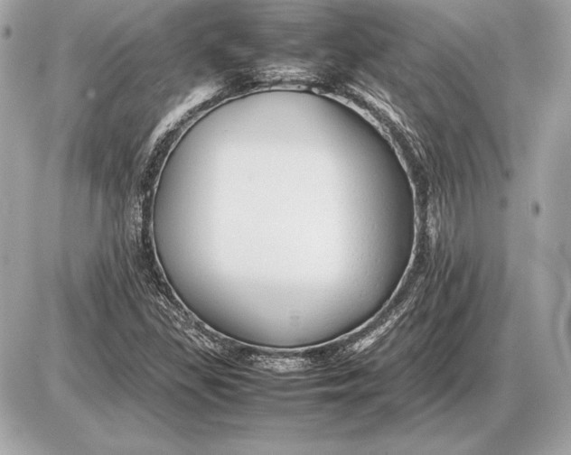 X0000085831309200704091647