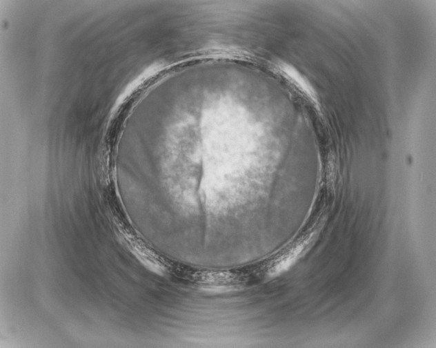 X0000085831310200704091647