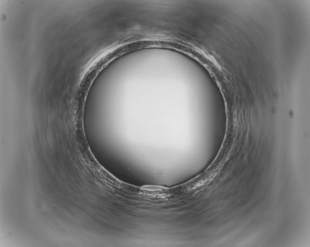 X0000085831311200704091648