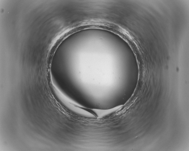 X0000085831312200704091648