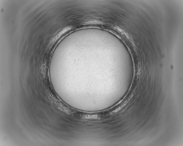 X0000085831313200704091648