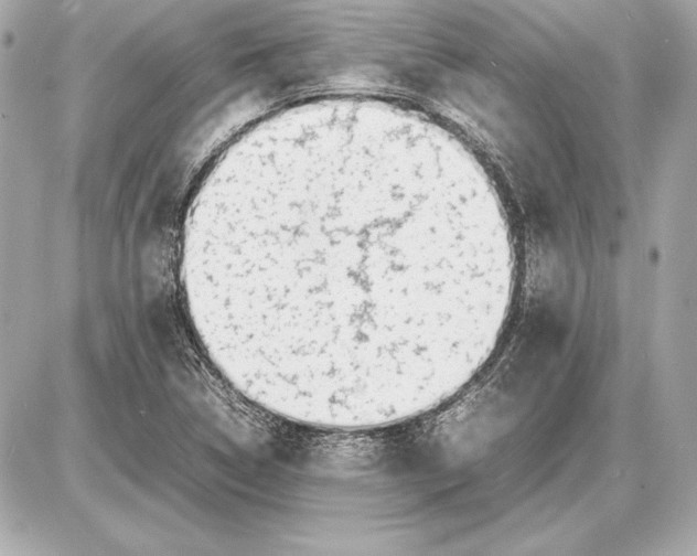 X0000085831314200704091648