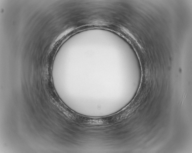 X0000085831315200704091648