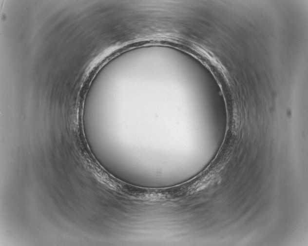 X0000085831316200704091648