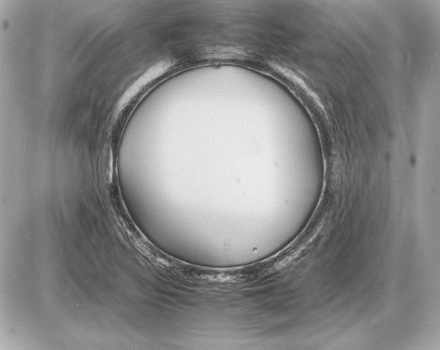 X0000085831317200704091648