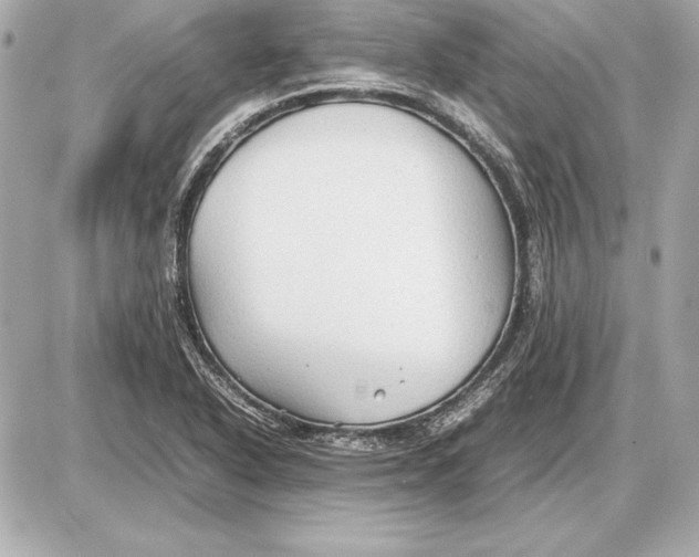 X0000085831318200704091648