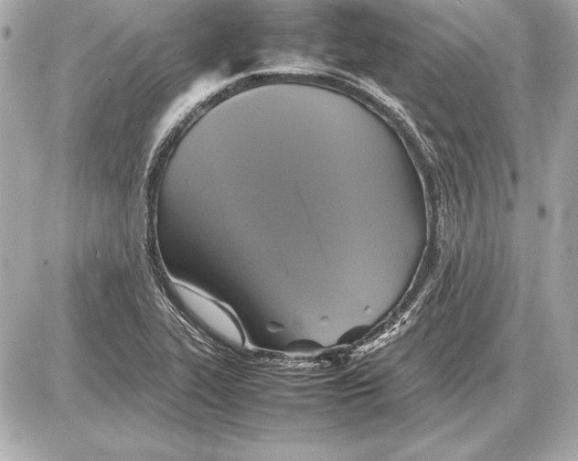 X0000085831319200704091648