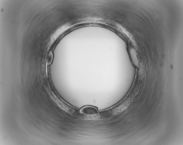 X0000085831320200704091648