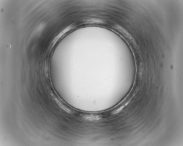 X0000085831321200704091648