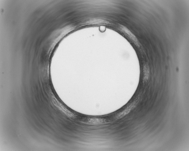 X0000085831322200704091648