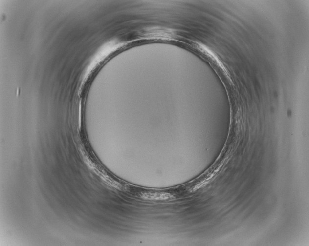 X0000085831323200704091648