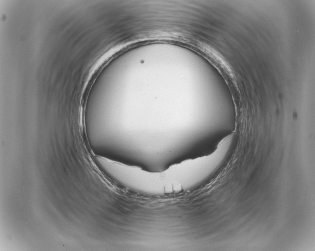 X0000085831324200704091648