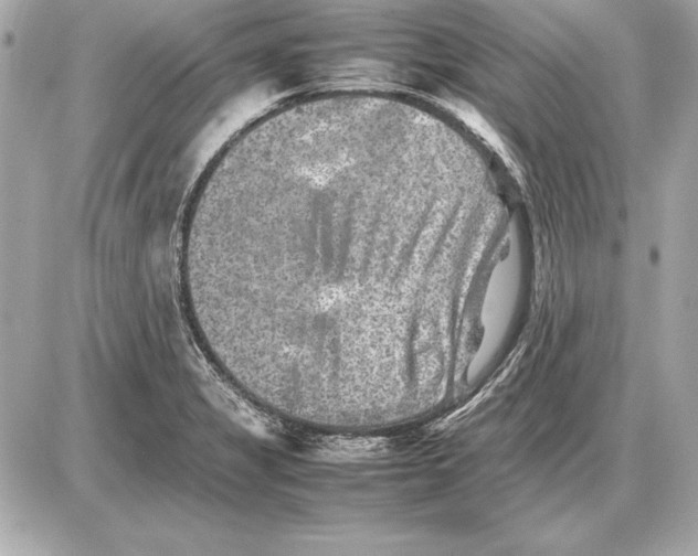 X0000085831325200704091648