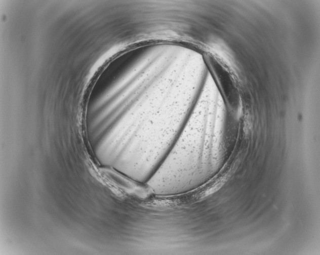 X0000085831326200704091648