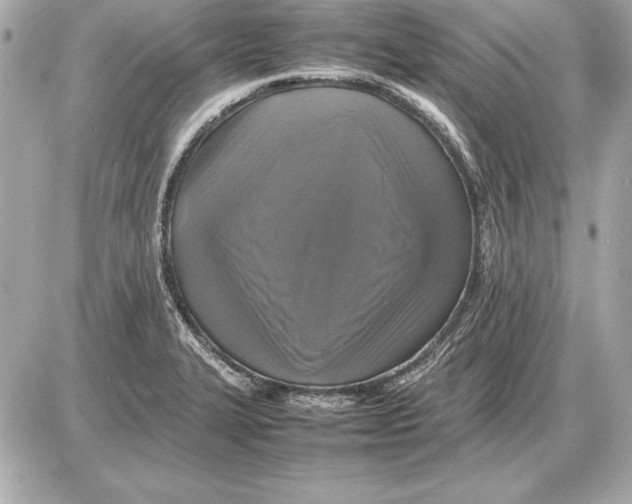 X0000085831327200704091648