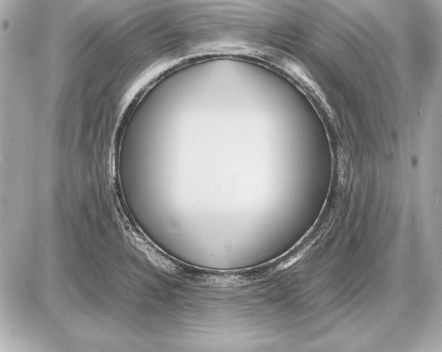 X0000085831328200704091648