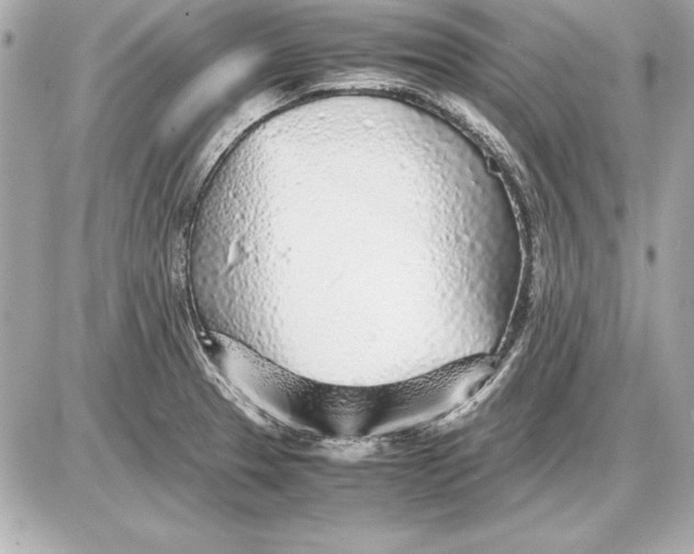 X0000085831329200704091648