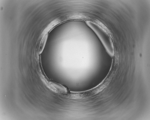 X0000085831330200704091648