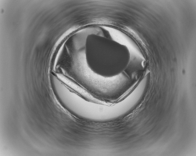 X0000085831331200704091648