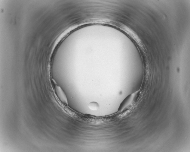 X0000085831332200704091648