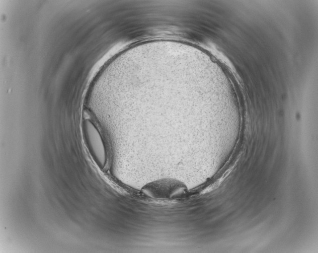 X0000085831333200704091648