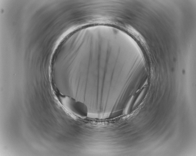 X0000085831334200704091648