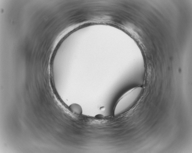 X0000085831335200704091648