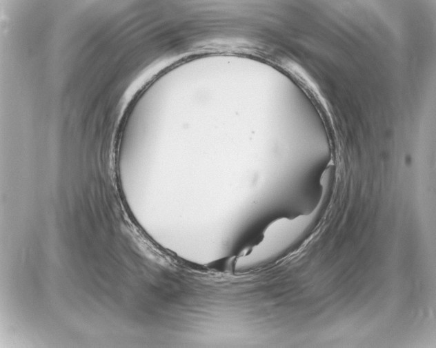 X0000085831336200704091648