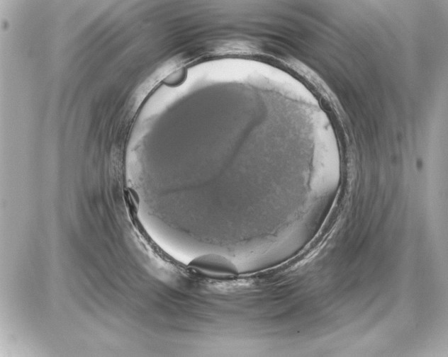 X0000085831337200704091648