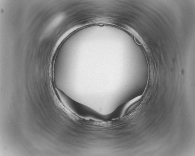 X0000085831339200704091648