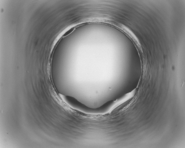 X0000085831340200704091648