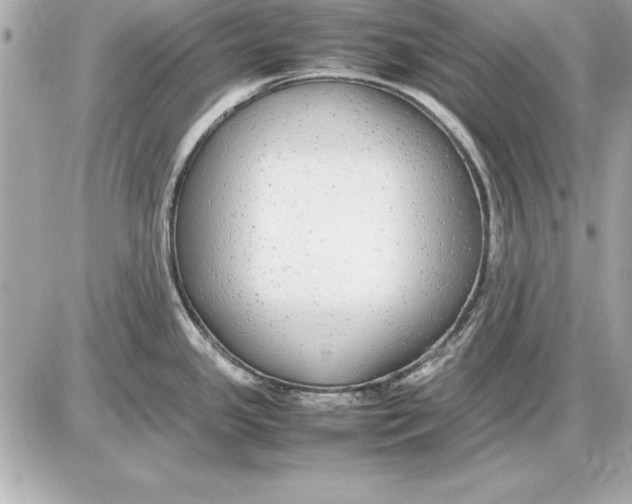 X0000085831341200704091648