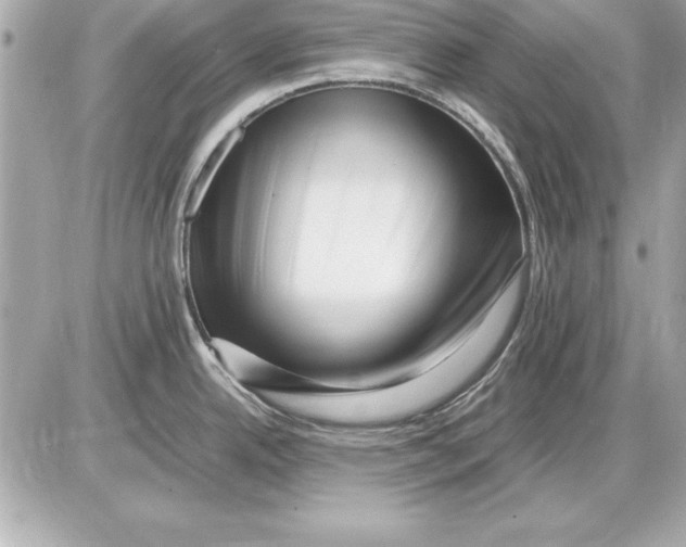 X0000085831342200704091648