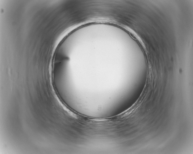 X0000085831343200704091648