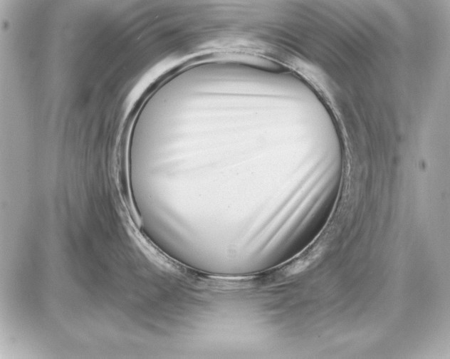 X0000085831344200704091648