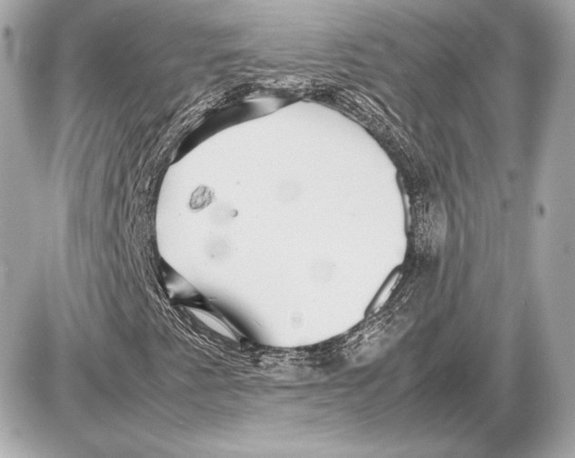 X0000085831345200704091647