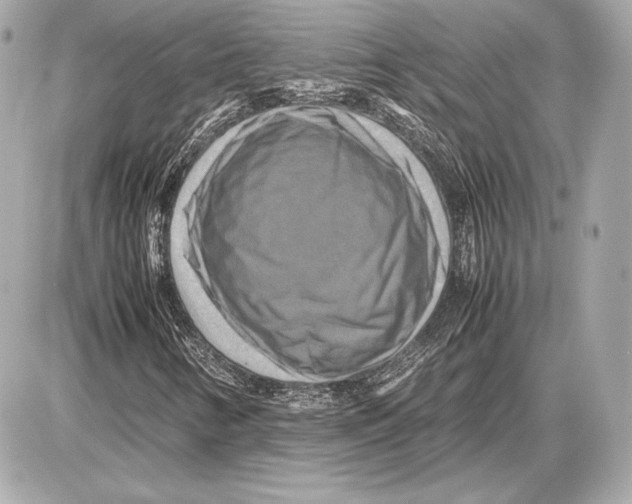 X0000085831346200704091647