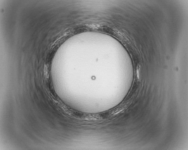 X0000085831347200704091647