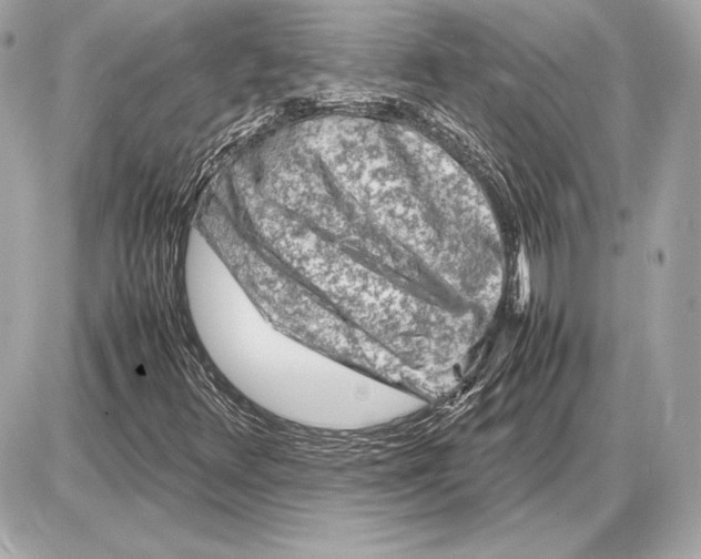 X0000085831348200704091647