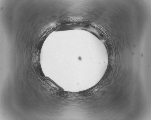 X0000085831349200704091647