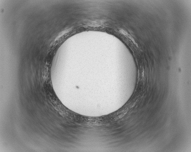 X0000085831350200704091647