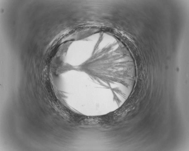 X0000085831351200704091647